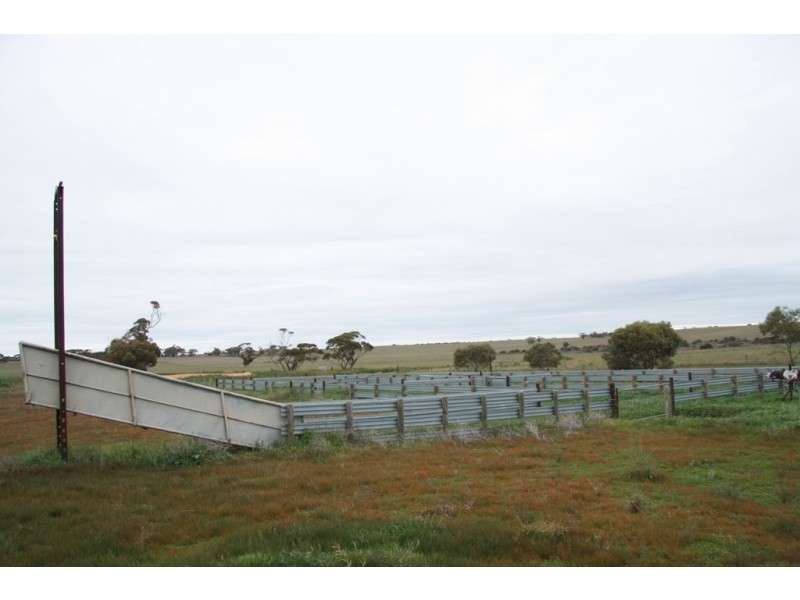 Secs 8 and 19 Hundreds of Allen and Mantung, Caliph SA 5310