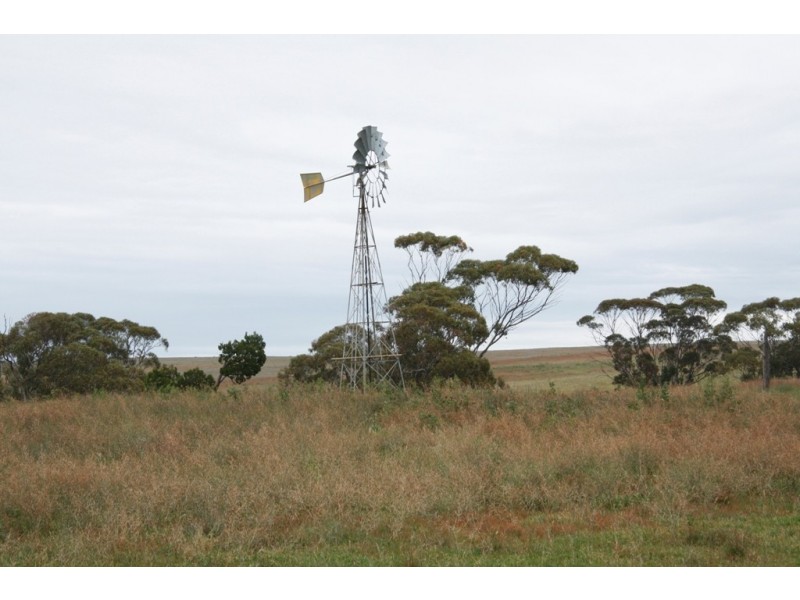 Secs 8 and 19 Hundreds of Allen and Mantung, Caliph SA 5310