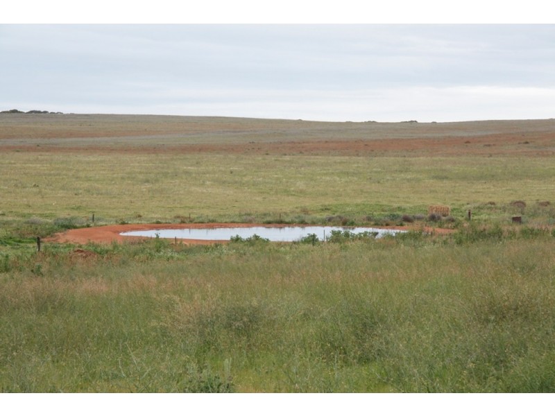 Secs 8 and 19 Hundreds of Allen and Mantung, Caliph SA 5310