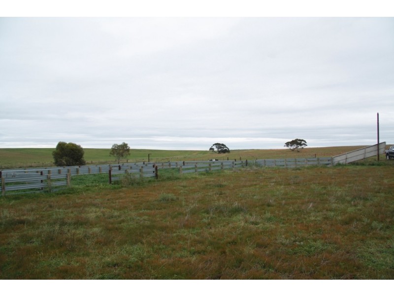 Secs 8 and 19 Hundreds of Allen and Mantung, Caliph SA 5310