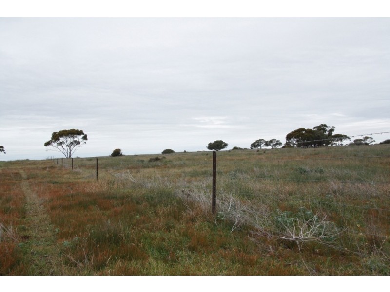 Secs 8 and 19 Hundreds of Allen and Mantung, Caliph SA 5310