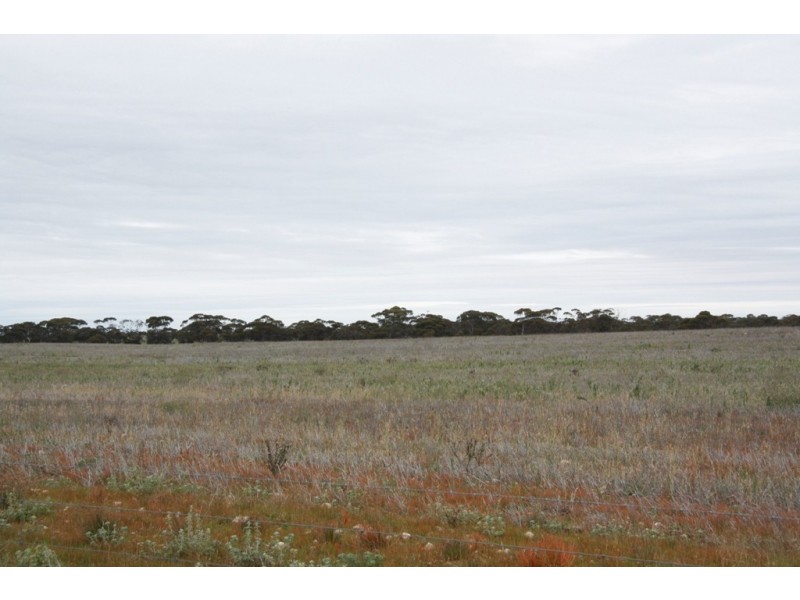 Secs 8 and 19 Hundreds of Allen and Mantung, Caliph SA 5310