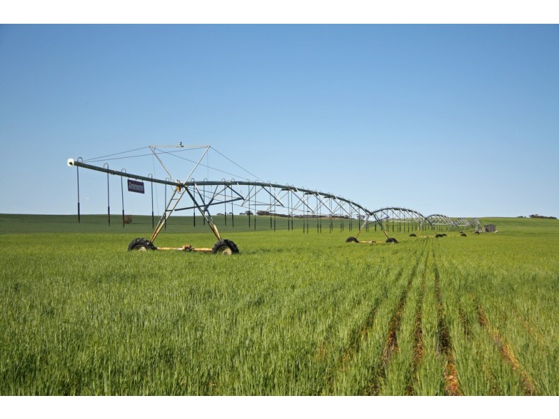 - Rural Land In Hundreds of Allen and Mindarie, Wanbi SA 5310