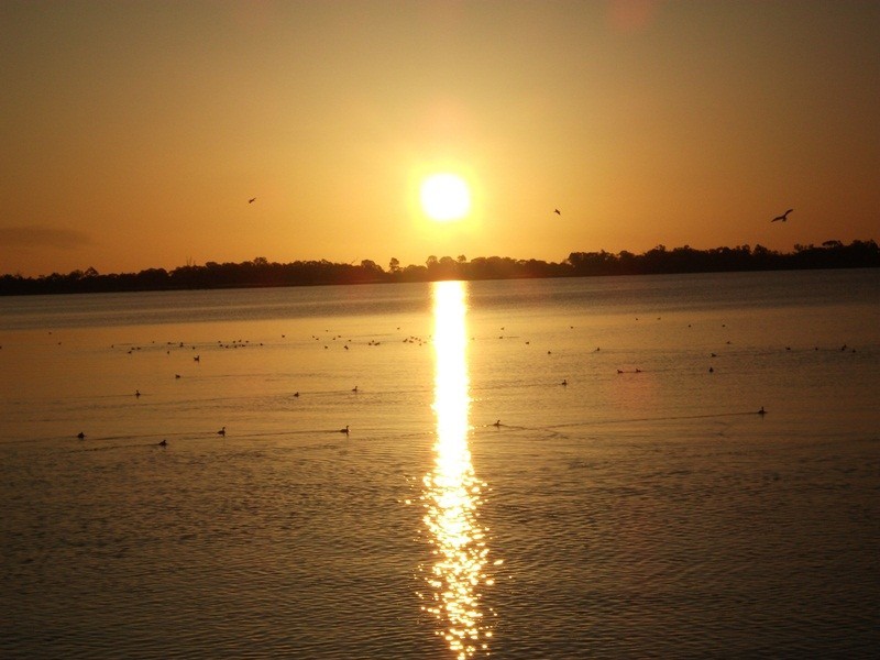 Unit 3/86 Nookamka Terrace, Barmera SA 5345