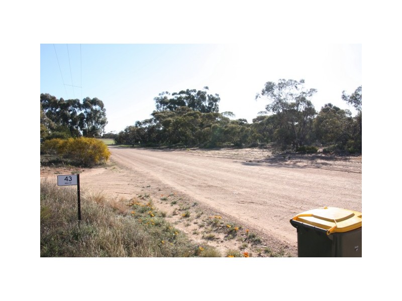 43 High Street, PARUNA via, Loxton SA 5333