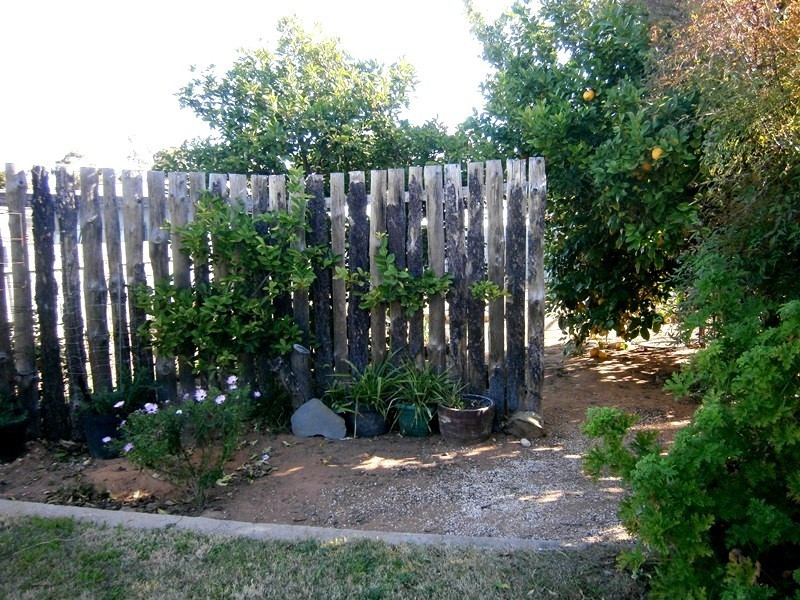 8 Civic Avenue, Waikerie SA 5330