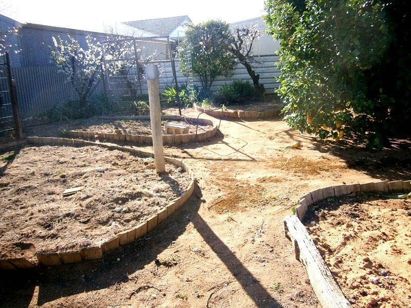 8 Civic Avenue, Waikerie SA 5330