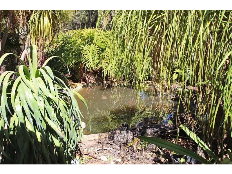 7 Paroo Street, Renmark SA 5341