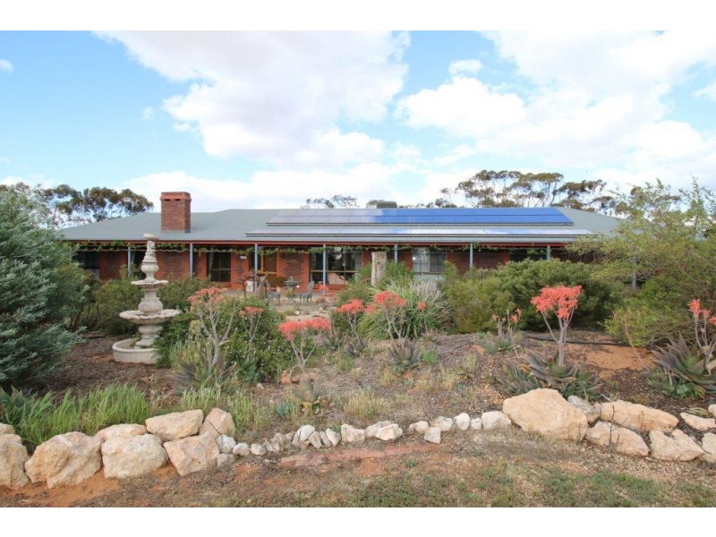 492 May Road, PYAP WEST via, Loxton SA 5333