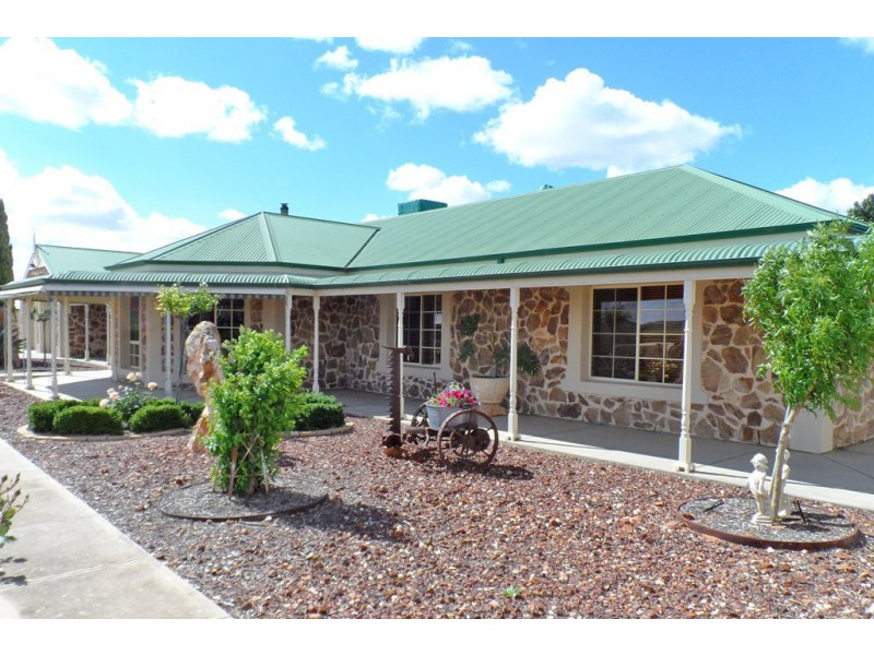 53 Chaffey Street, Renmark SA 5341