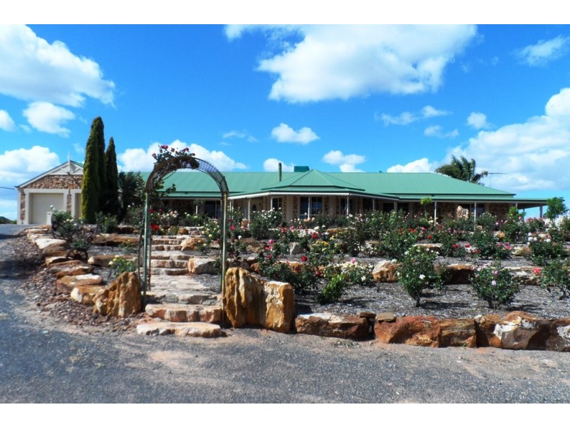 53 Chaffey Street, Renmark SA 5341