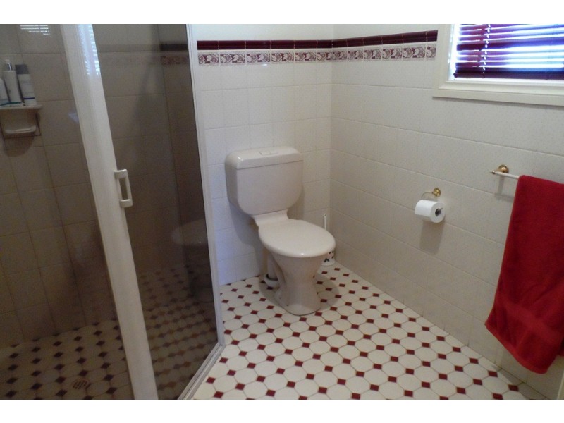 53 Chaffey Street, Renmark SA 5341