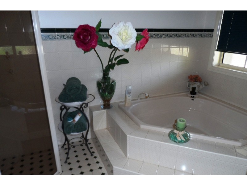 53 Chaffey Street, Renmark SA 5341