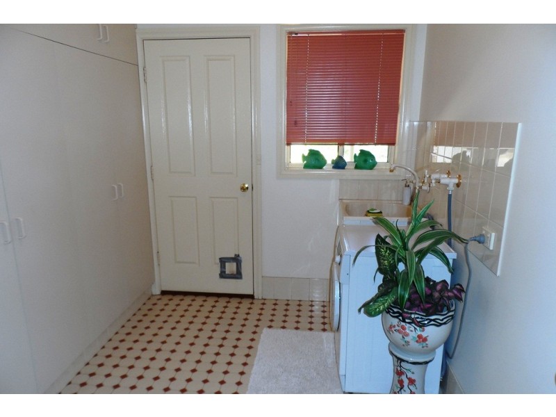 53 Chaffey Street, Renmark SA 5341