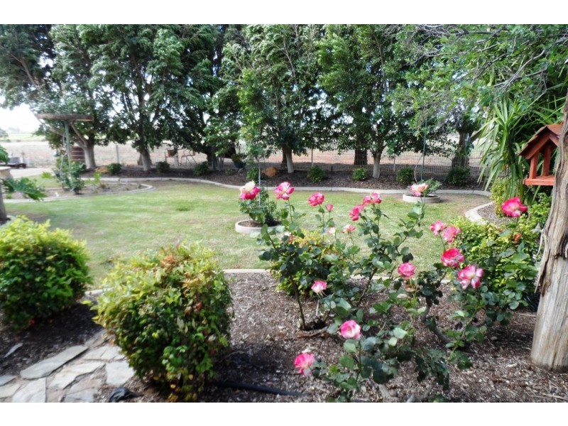 53 Chaffey Street, Renmark SA 5341