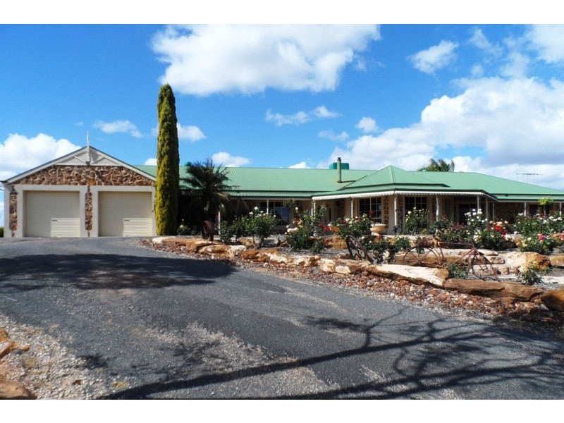 53 Chaffey Street, Renmark SA 5341