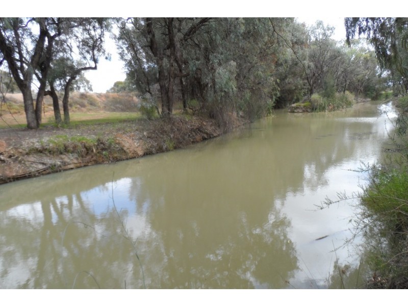 3b Meander Avenue, Renmark SA 5341