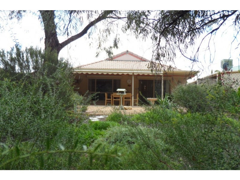3b Meander Avenue, Renmark SA 5341