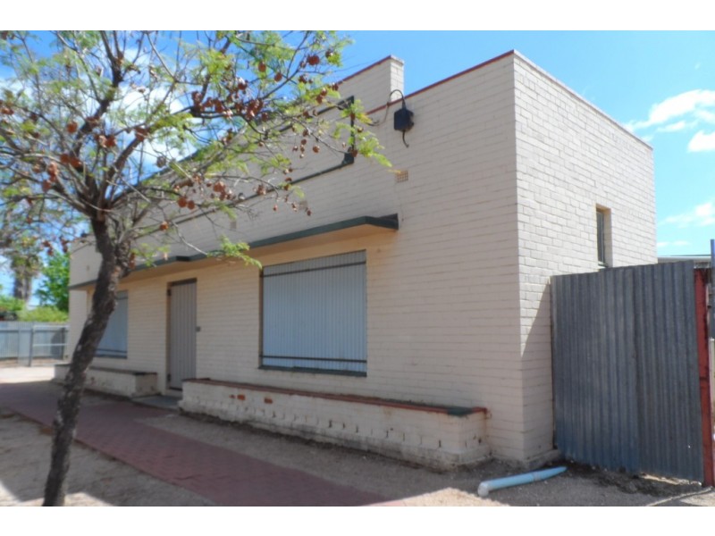 98 Sixteenth Street, Renmark SA 5341