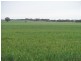 2349 West Boundary Road, Wappilka SA 5332