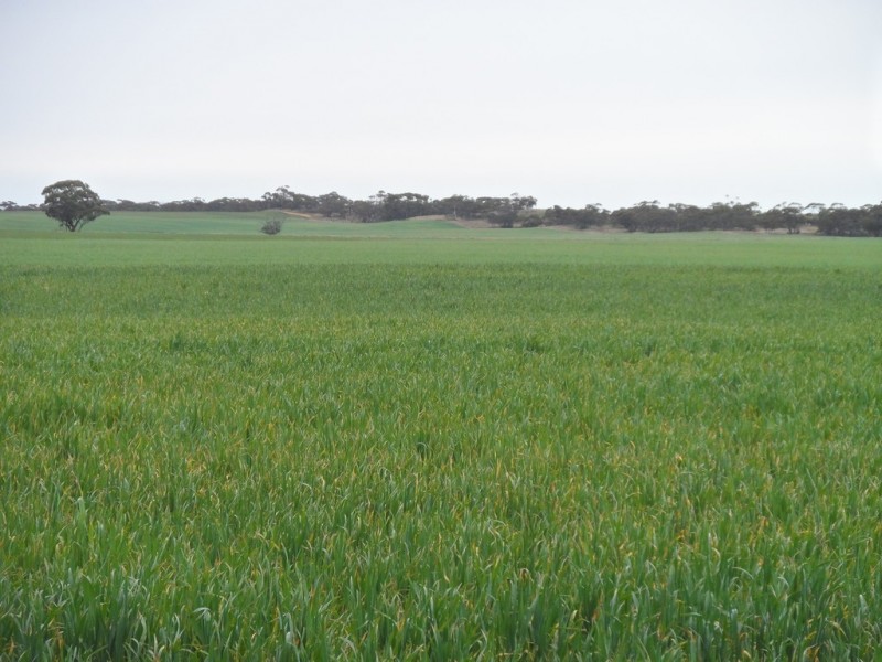 2349 West Boundary Road, Wappilka SA 5332