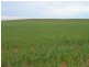 2349 West Boundary Road, Wappilka SA 5332