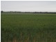 2349 West Boundary Road, Wappilka SA 5332