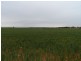 2349 West Boundary Road, Wappilka SA 5332