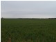 2349 West Boundary Road, Wappilka SA 5332
