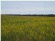 2349 West Boundary Road, Wappilka SA 5332