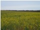 2349 West Boundary Road, Wappilka SA 5332