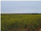2349 West Boundary Road, Wappilka SA 5332