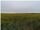 2349 West Boundary Road, Wappilka SA 5332