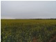 2349 West Boundary Road, Wappilka SA 5332