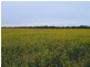 2349 West Boundary Road, Wappilka SA 5332