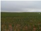 2349 West Boundary Road, Wappilka SA 5332