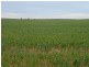 2349 West Boundary Road, Wappilka SA 5332