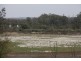 Lot 34 Wheatley Road, Loxton SA 5333