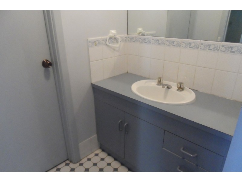 245 Arumpo Street, Renmark SA 5341