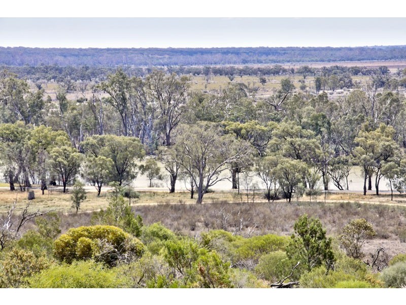 24 Thiele Avenue, Loxton SA 5333