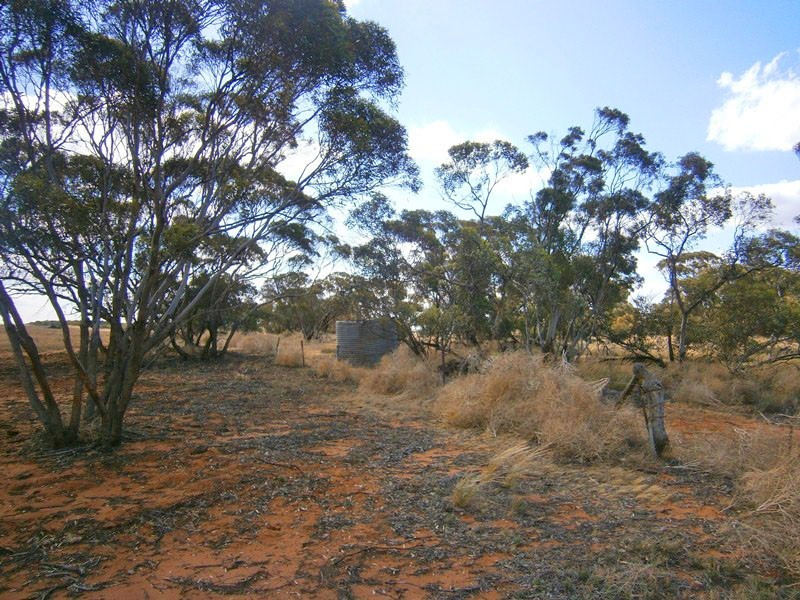 Section 53 Old Church Road, Waikerie SA 5330