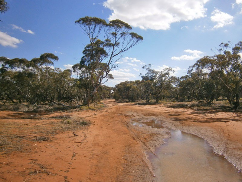 Section 53 Old Church Road, Waikerie SA 5330
