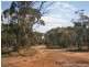 Section 53 Old Church Road, Waikerie SA 5330