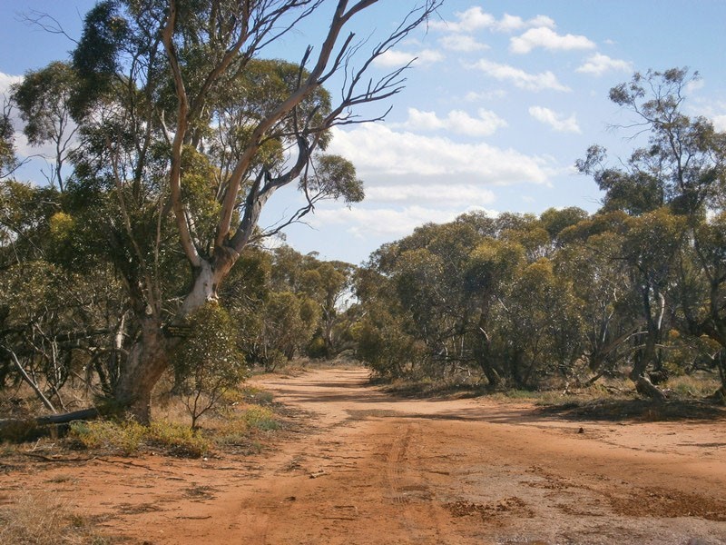 Section 53 Old Church Road, Waikerie SA 5330