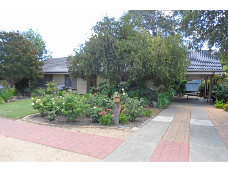 104 Pyap Street, Renmark SA 5341