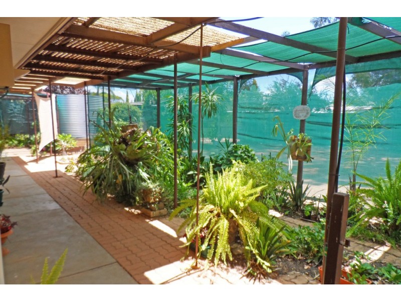 104 Pyap Street, Renmark SA 5341