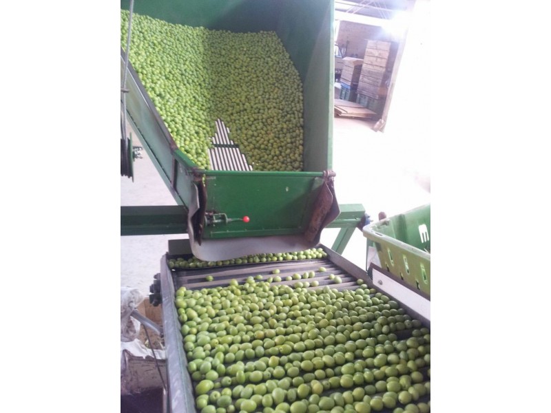 Lot 21 Carter Road, Waikerie SA 5330