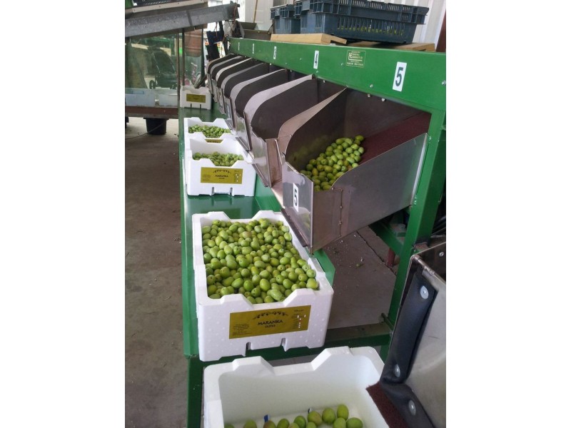 Lot 21 Carter Road, Waikerie SA 5330