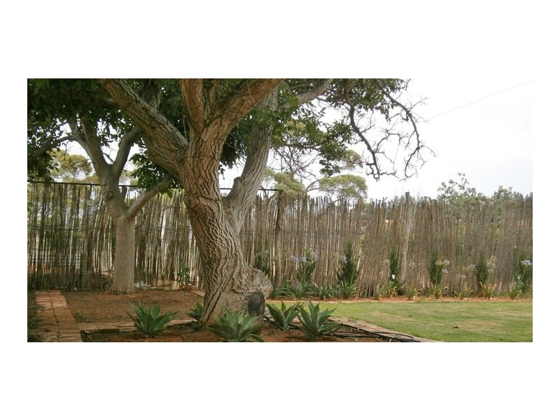 59 Perry Road, Waikerie SA 5330