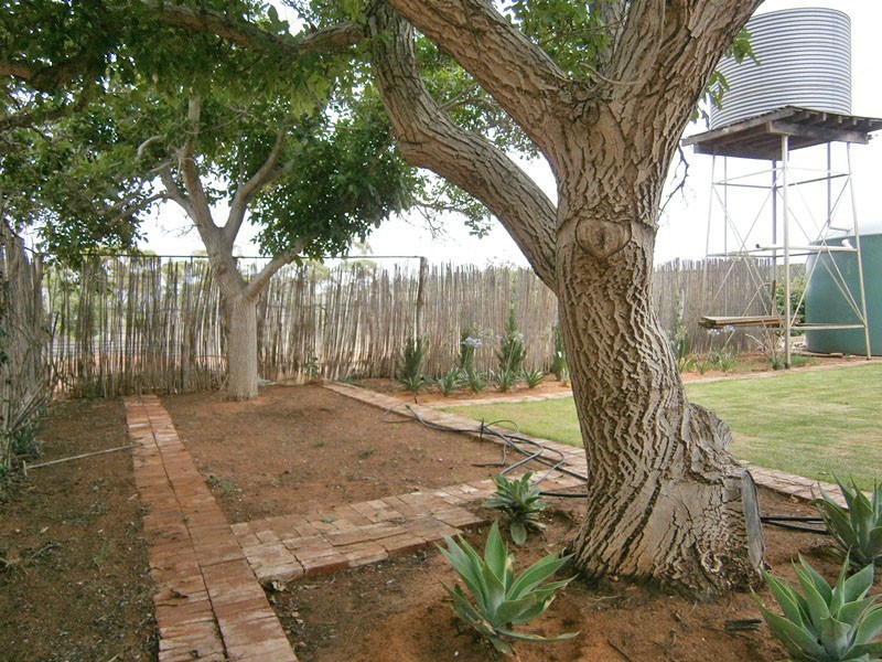 59 Perry Road, Waikerie SA 5330